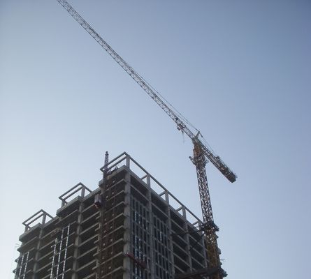 अच्छा दाम विद्युत 50 हर्ट्ज स्व चढ़ाई टॉवर क्रेन 12 टन उठाने की क्षमता के साथ पैनल प्रकार ऑनलाइन